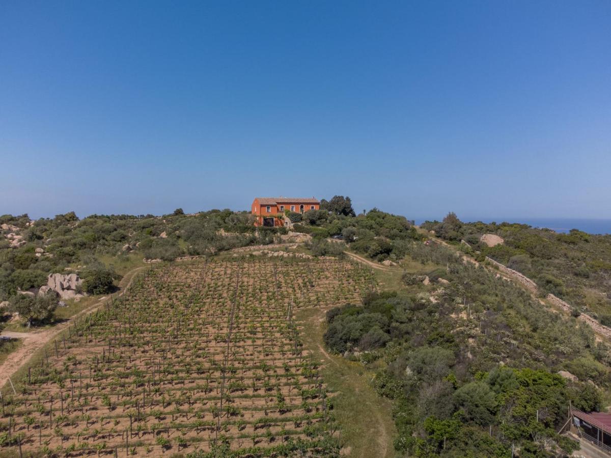 Holiday Home Rita By Interhome Palau Εξωτερικό φωτογραφία
